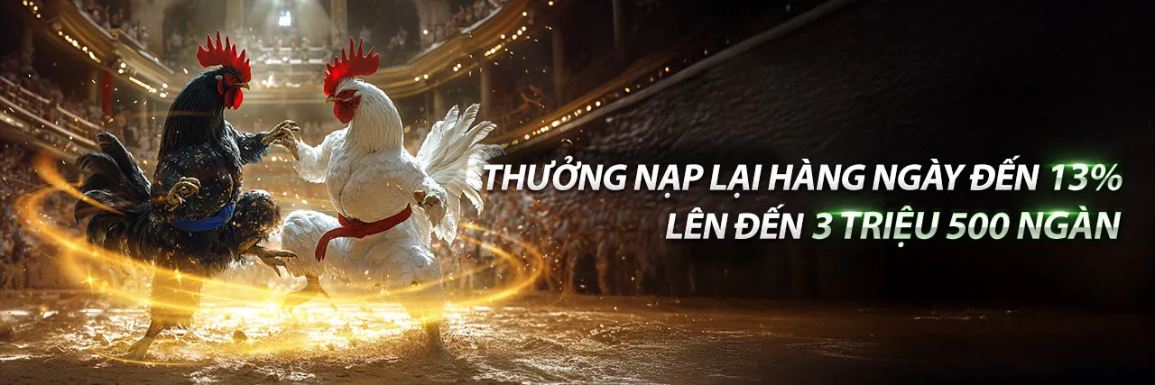 Đá Gà Trực Tuyến Hấp Dẫn Tại DV88 Login